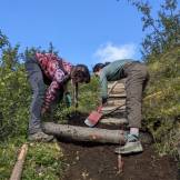 Log step construction (Izzy Cadec)
